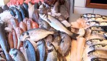 How To Differentiate Farmed Fish And Wild Fish