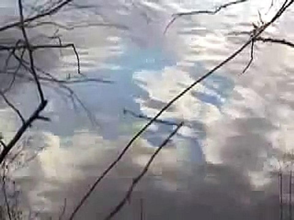 Cloudy Water
