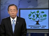UN Secretary-General Ban Ki-moon launches the International Year of Forests (Forests 2011)