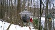 Winter Birds' Feeding Frenzy  (Cats LOVE It!)