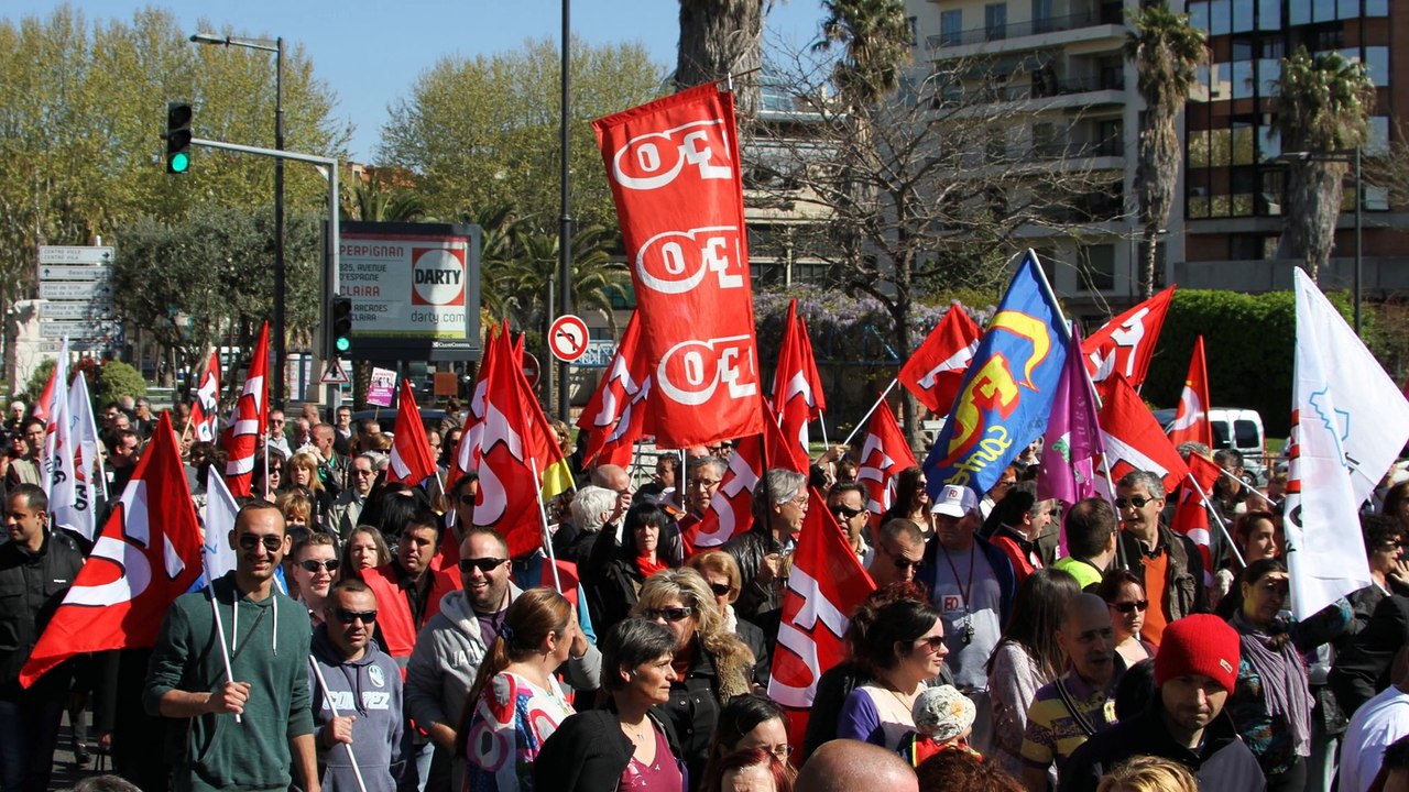 CLIP VIDÉO UDFO66 - GRÈVE INTERPROFESSIONNELLE DU 9 AVRIL 2015 SUR PERPIGNAN