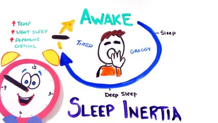 Should You Use The SNOOZE Button