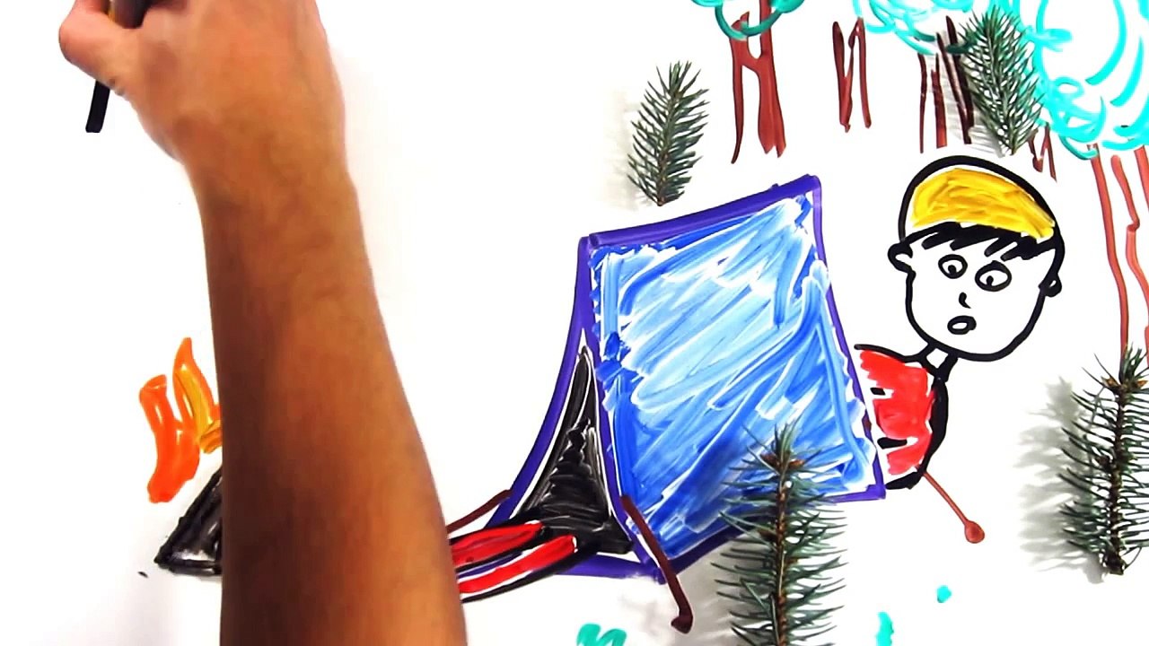 The Science of 'Morning Wood'