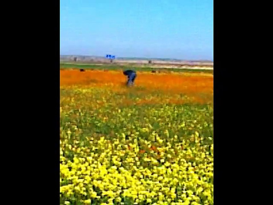 Abdou2Ysa -محمد عبد الوهاب أنا والعذاب وهواك