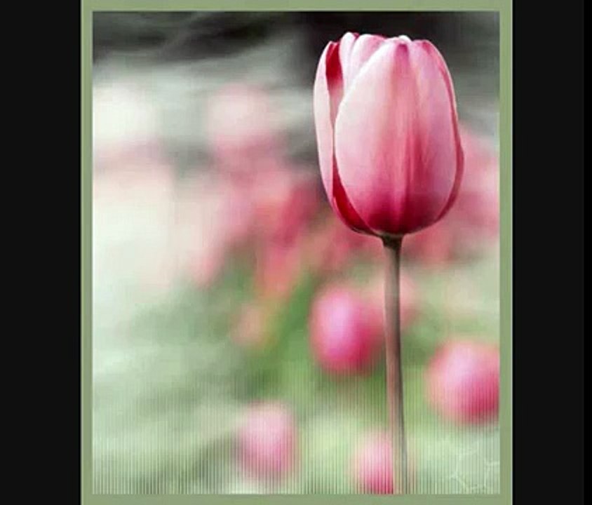 Yunus Emre Şiirleri - Haktan Gelen Şerbeti İçtik Elhamdülillah