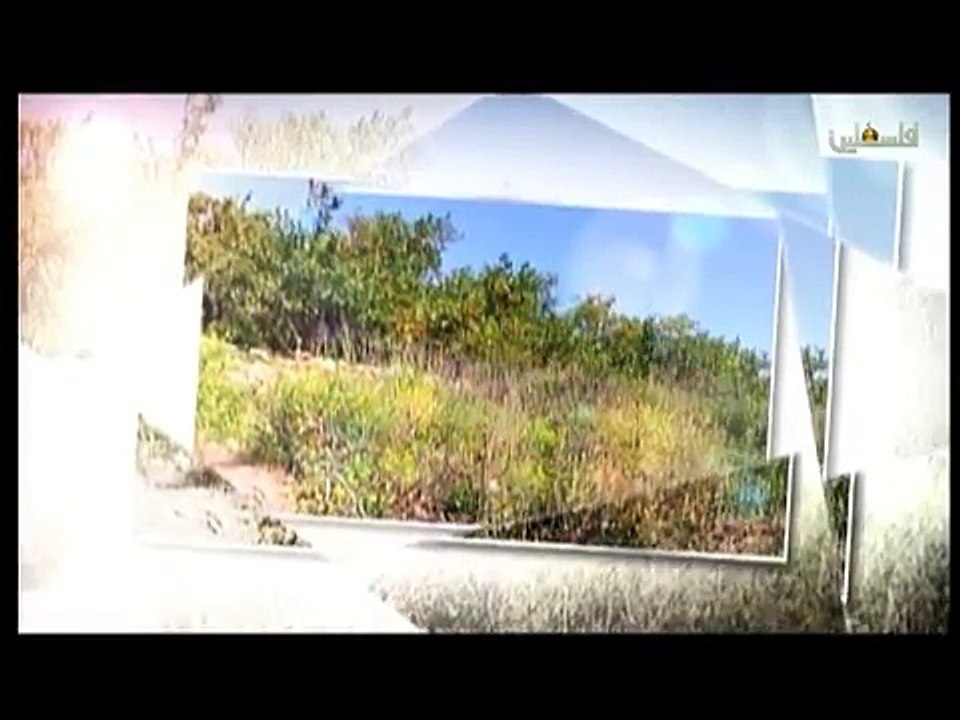 فلسطين هذا الصباح ج2 - 11/4/2015