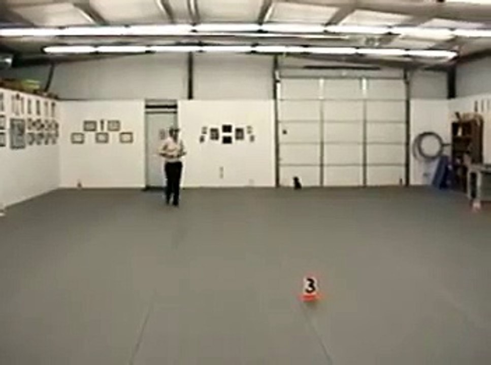 Elle danse en Freestyle avec son Chien