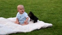 Adorable Puppy Attacks Baby