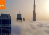 Heavy Fog Cloaks Dubai Marina