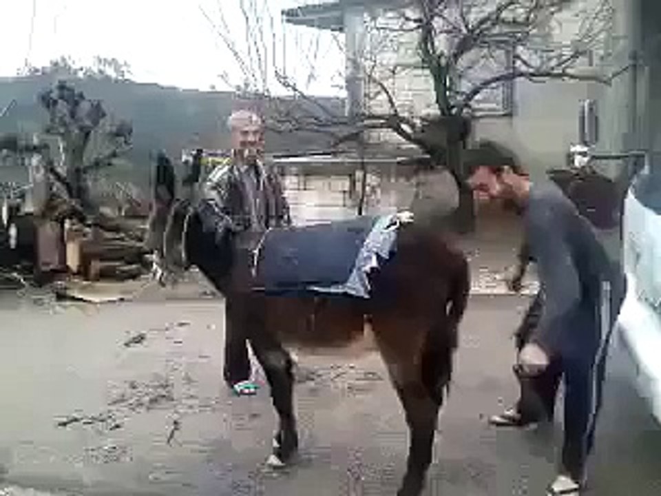 A Donkey Start Like Power machine