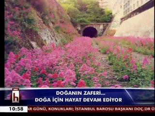 basın konseyi  04-11-2015