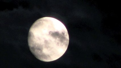 clair de lune -Django Reinhardt