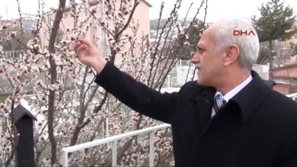 Yozgat'ta Zirai Don Tespiti Yapılacak