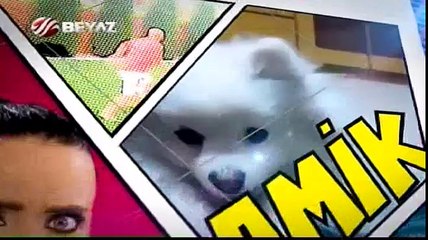 Biz Bunu Beğendik 11.04.2015