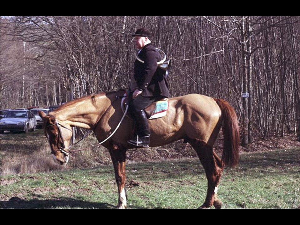 Chasse a courre en forêt de  Chanteau à Orléans