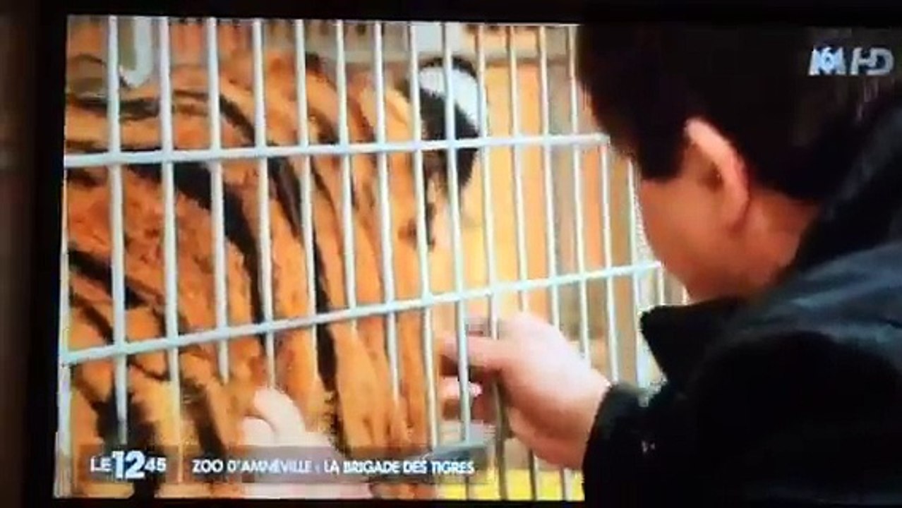 L'apologie de TigerWorld by M6..