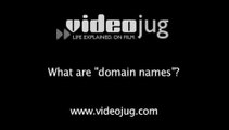 What are 'domain names'?: Internet Terms