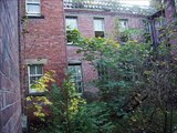 whittingham abandoned mental asylum