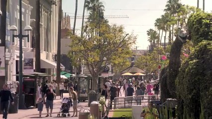 Diversity & Inclusion – Love Has No Labels