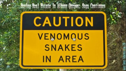 Buying Real Estate In Albany Oregon: Saga Continues