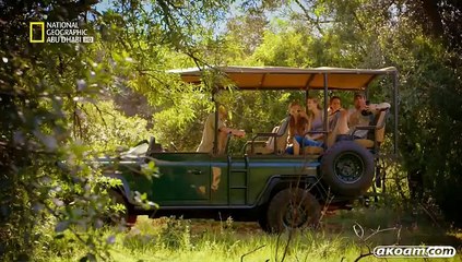 الفيلم الوثائقي الموت أو الحياة حادث في السفاري DEAD OR ALIVE   TRAMPLED ON SAFARI