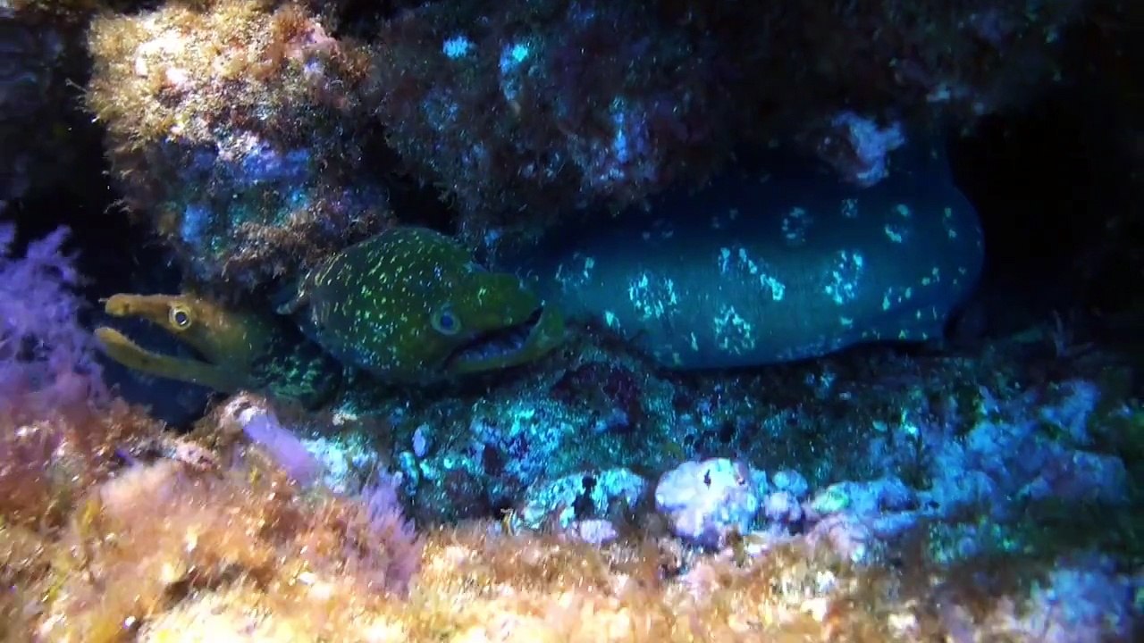 The Shadow of the past 95