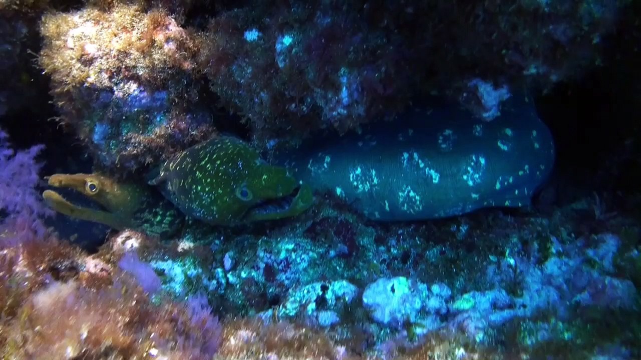 A Journey in the dark 95