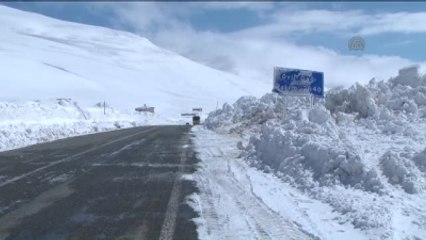 Rize'de "Kardan Adam" Rekoru Kırıldı