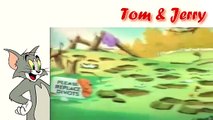 Tom and Jerry - Classic Collection - cartoons - cartoon network - Funny Videos