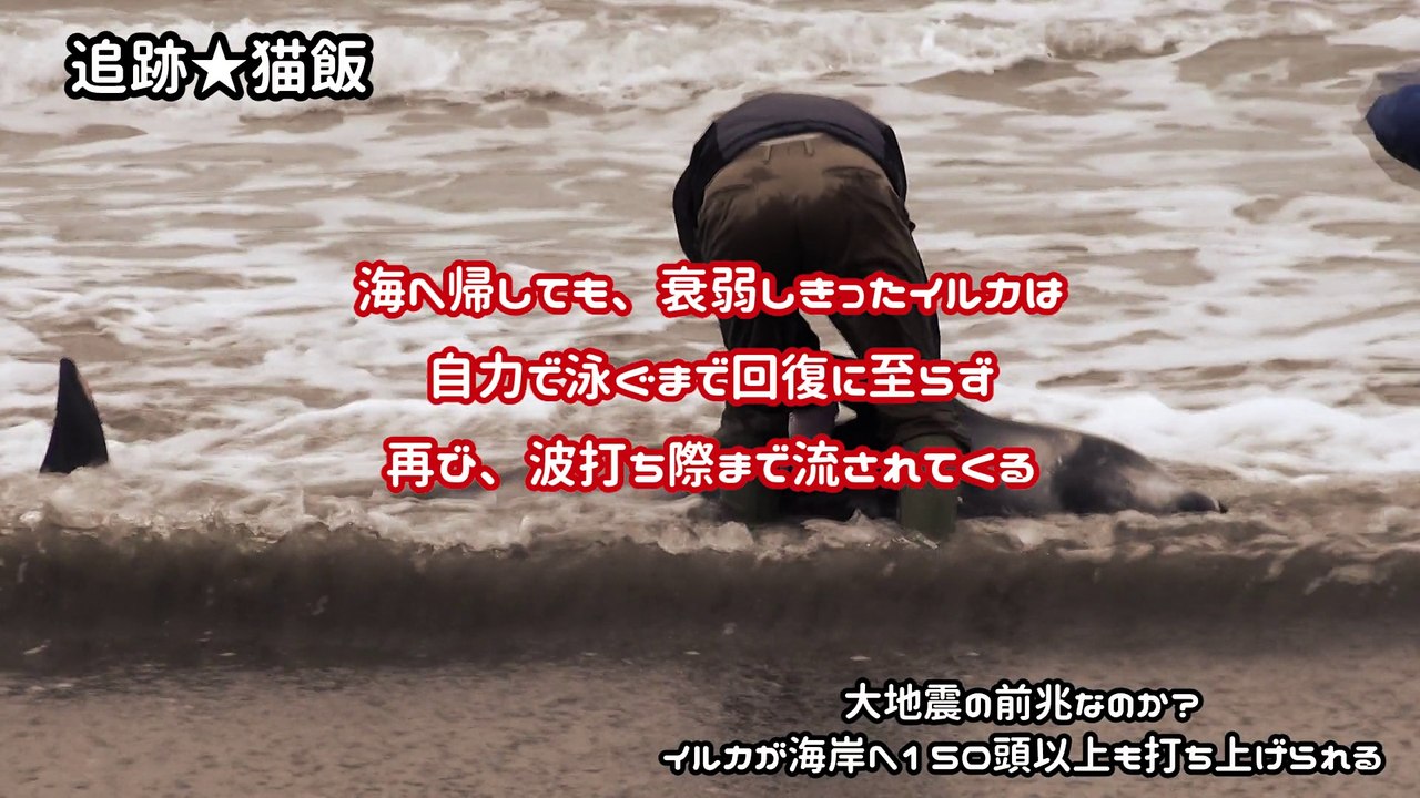 大地震の前兆