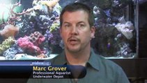 What is a 'wet or dry trickle filter' for an aquarium?: Aquarium Filter Basics