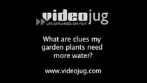What are clues my garden plants need more water?: Garden Watering