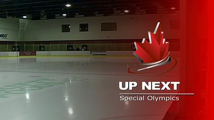 Bronze Interpretive - VISI 2015