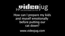 How can I prepare my kids and myself emotionally before putting our cat down?: Older Cats And Euthanasia
