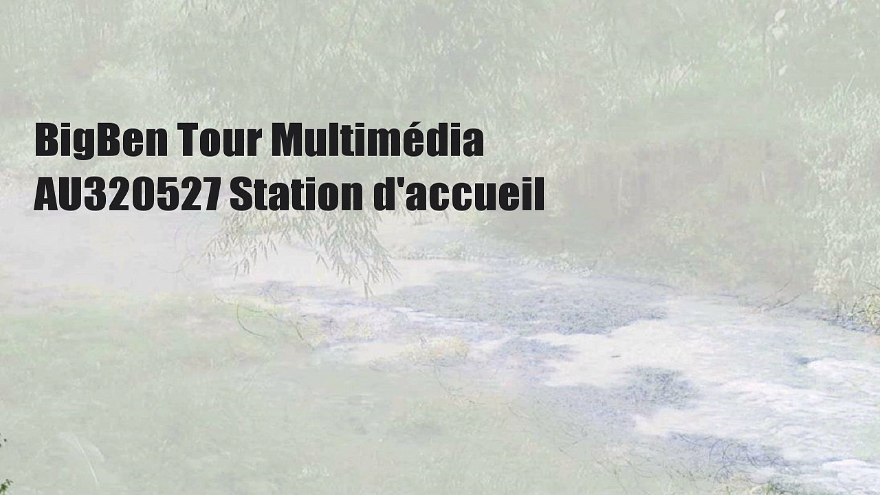 BigBen Tour Multimédia AU320527 Station d'accueil