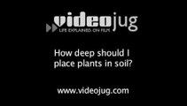 How deep should I place plants in soil?: Garden Planting