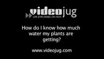How do I know how much water my plants are getting?: Garden Watering