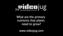 What are the primary nutrients that plants need to grow?: Garden Fertilizer
