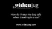 How do I keep my dog safe when traveling in a car?: How To Keep Your Dog Safe Whilst Travelling In A Car