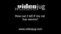 How can I tell if my cat has worms?: Cat Illnesses And Treatments