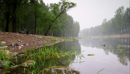 我的二哥二嫂39【超清720p】
