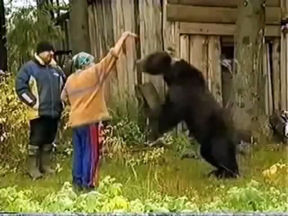Never Ever Trust on Animals