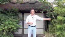 How To Create Japanese Tea Gardens