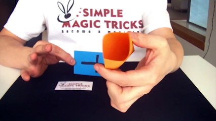 Simple Mind Magic Tricks Revealed - "5 ESP Control"