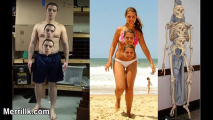 Human Proportion for Figure Drawing: The Ultimate Guide