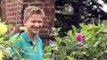 How To Learn Pruning Bush Roses In Autumn