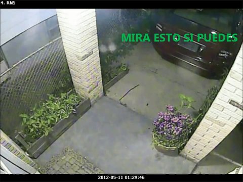 REAL UFO ALIEN-HUMANOIDS