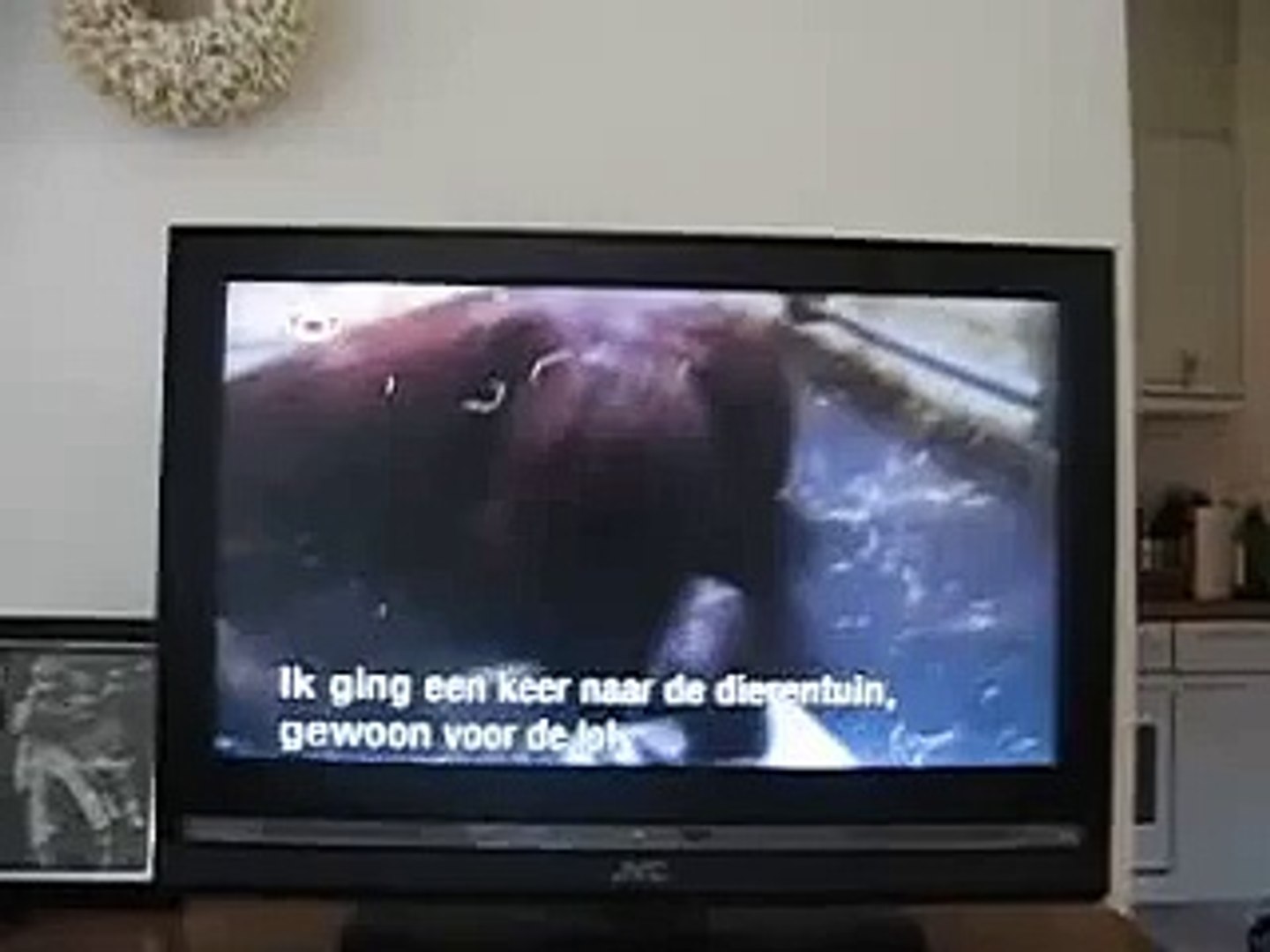 ⁣the planet`s funniest animals[2]