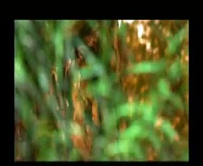 Ezra Pound in Italy with Paolo Pazolini