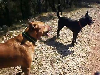 Eros aux Sources de l'Huveaune 11-04-2015 n° 2